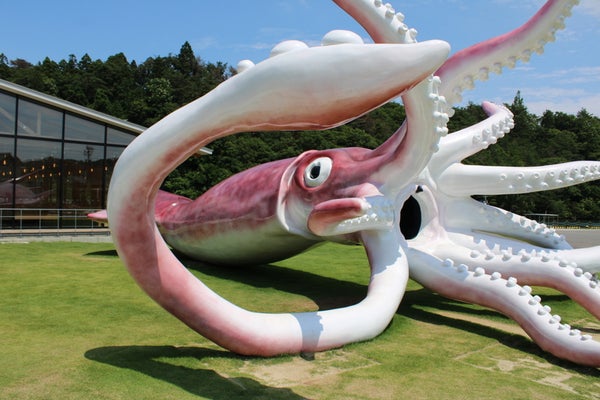 【富山県内発】 「今行ける能登!団体旅行応援キャンペーン」対象コース 見附島とイカキングと九十九湾クルーズ3